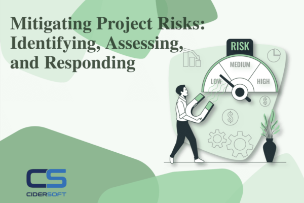 Mitigating Project Risks: Identifying, Assessing, and Responding
